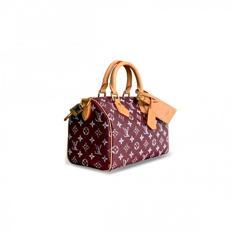 (image for) LOUIS VUITTON SPEEDY P9 BANDOULIÈRE 25 M24437 (25*15*15cm)
