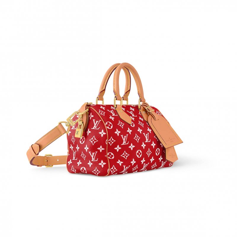 (image for) LOUIS VUITTON SPEEDY P9 BANDOULIÈRE 25 M24425 (25*15*15cm)